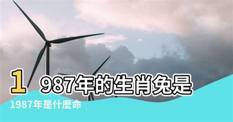 1987屬兔|1987年屬兔是什麼命？最全兔命命相批註！